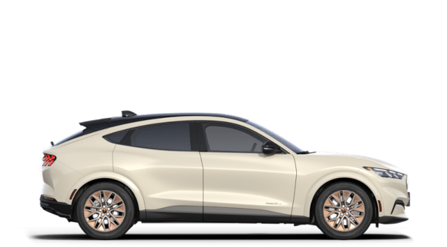 2025 Ford Mache